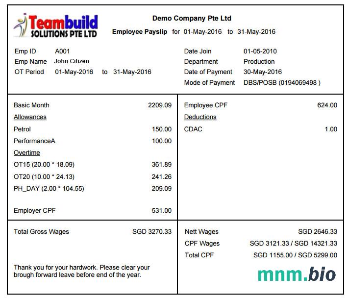 Teambuild solutions Ptr Ltd payslip w formatach Word i PDF